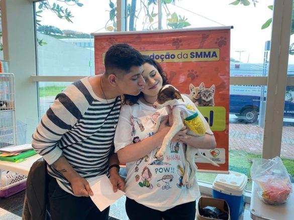 notas serviÇos gratuitos para os pets divulgação