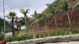 substituiÇÃo de espÉcies no largo da feira e em ipiabas divulgação