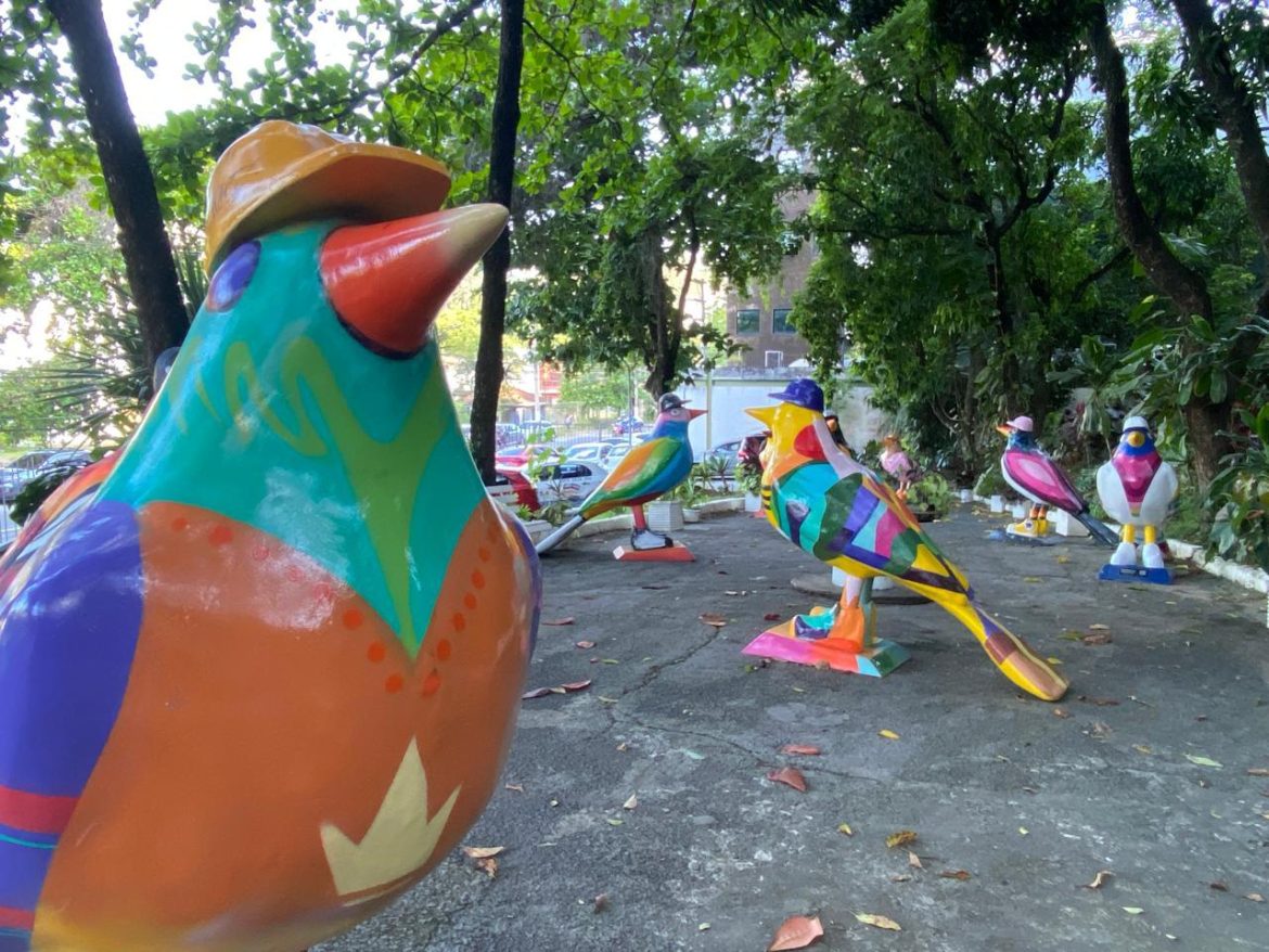 volta redonda terá city tour dedicado à arte urbana divulgação secom11