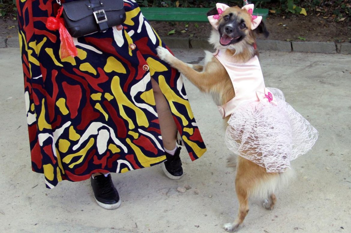 whatsapp image 2025 05 09 at 11.25.12