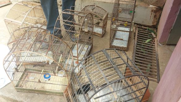 whatsapp image 2025 05 30 at 09.01.35