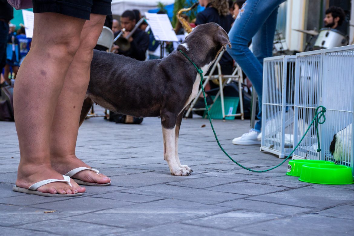 05 06 2025 dia mundial do meio ambiente 6 foto iam martins