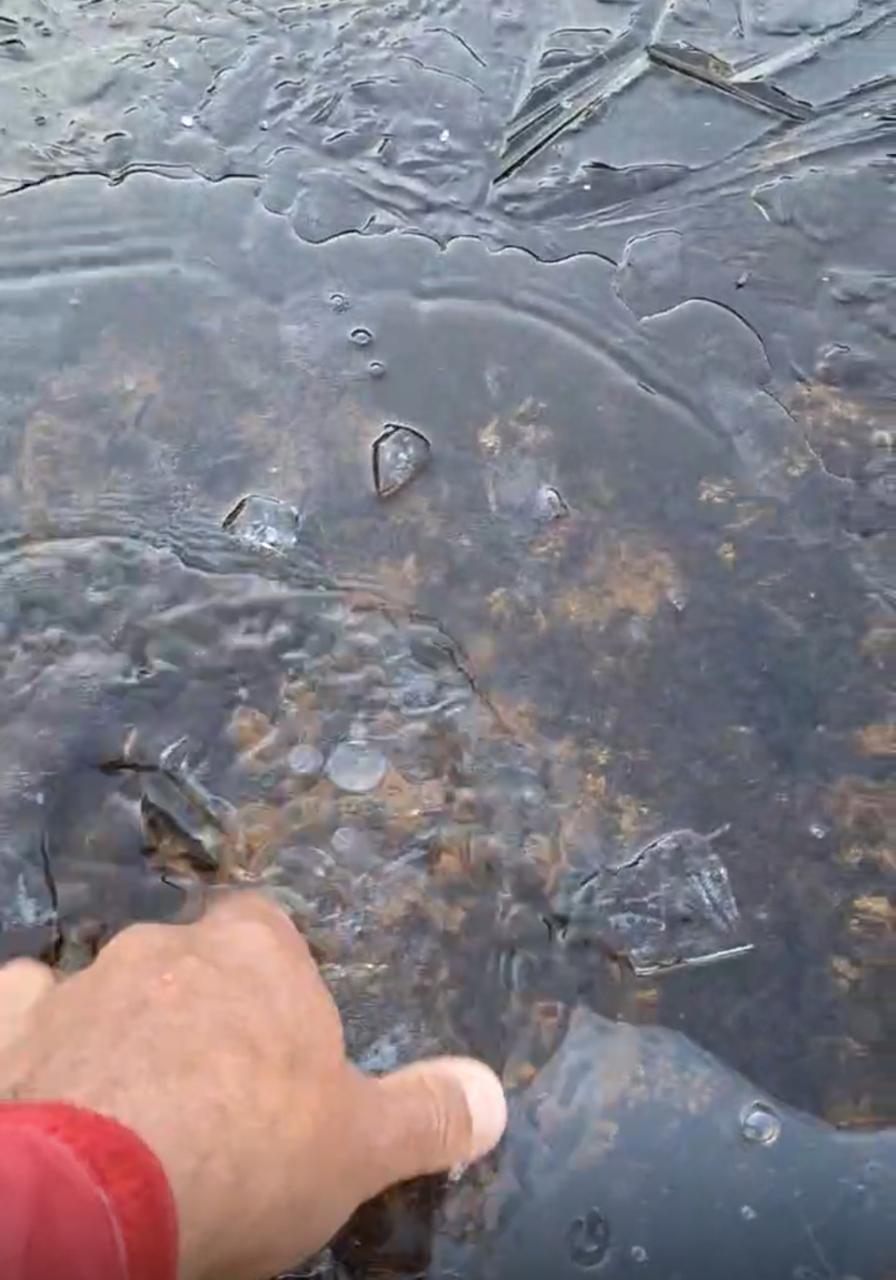 31.cf.res.cidades.parque nacional do itatiaia.2.rio.demilsonrodrigues