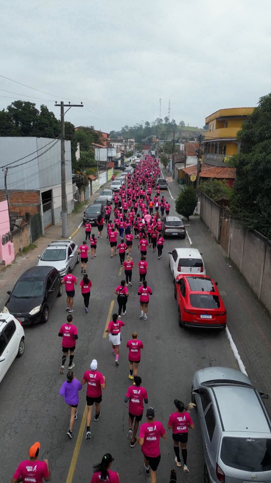 33.cf.res.polÍtica.corrida federal rosa.2.corrida.divulgaÇÃo (11) 33.cf.res.polÍtica.corrida federal rosa.2.corrida.divulgaÇÃo (11)