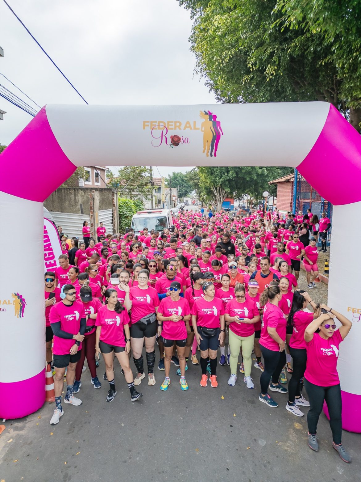 33.cf.res.polÍtica.corrida federal rosa.2.corrida.divulgaÇÃo 33.cf.res.polÍtica.corrida federal rosa.2.corrida.divulgaÇÃo