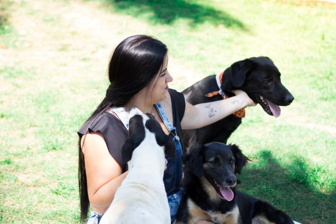 aberto o cadastro para protetores independentes e entidades de proteção animal em volta redonda divulgação pmvr