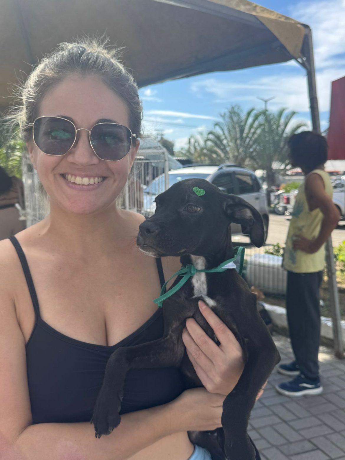 aberto o cadastro para protetores independentes e entidades de proteção animal em volta redonda divulgação pmvr1