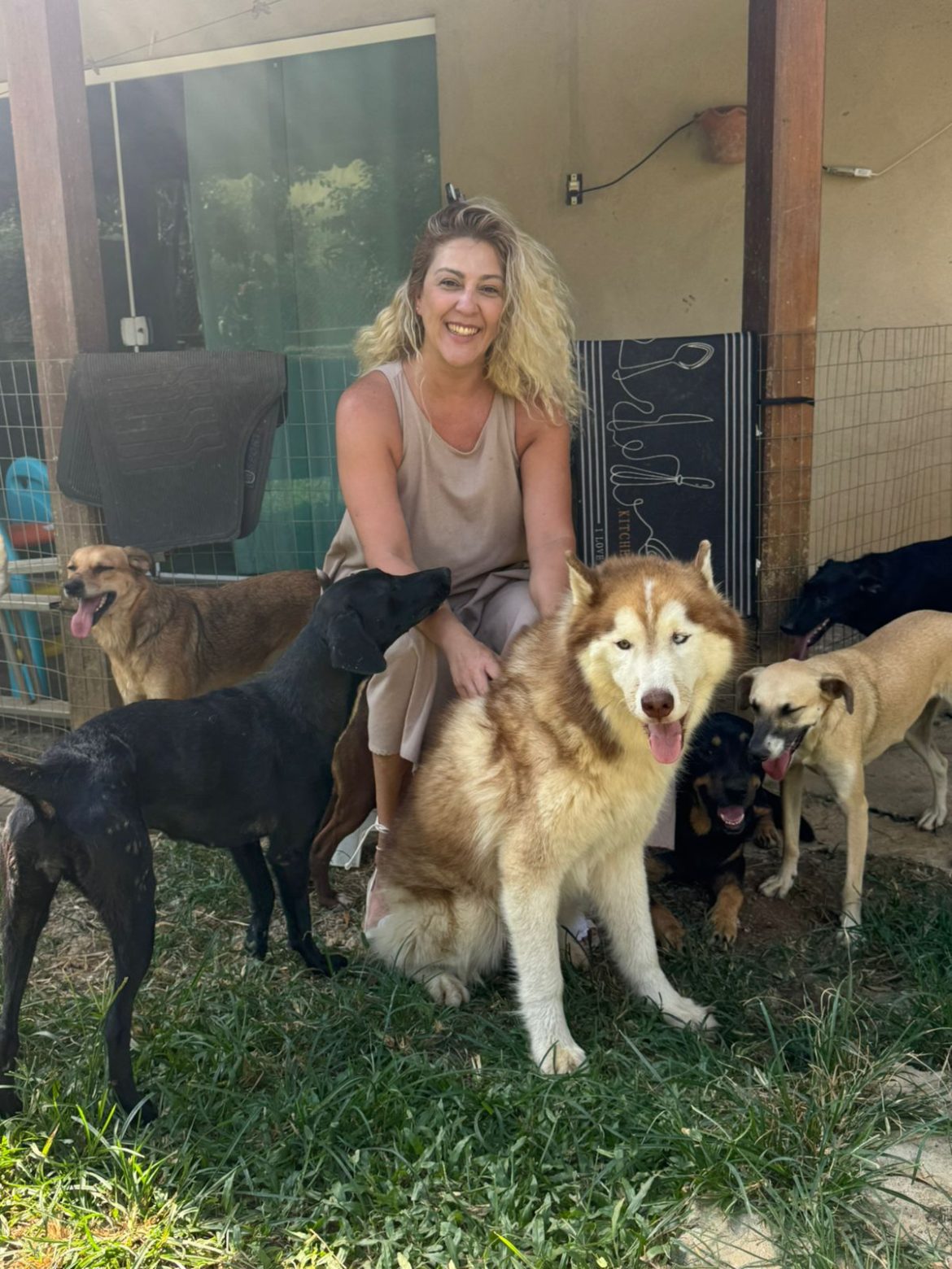 aberto o cadastro para protetores independentes e entidades de proteção animal em volta redonda divulgação pmvr11