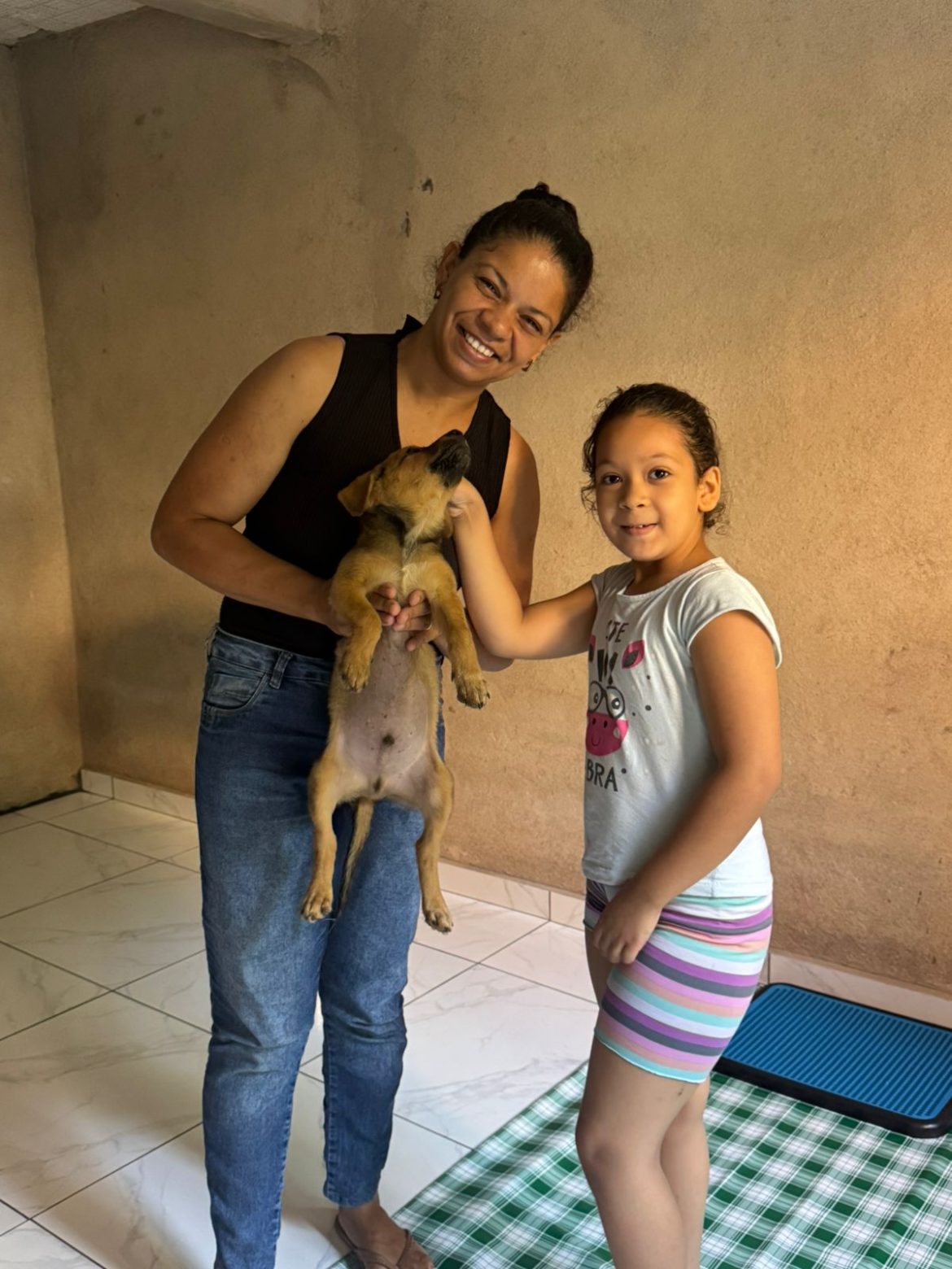 aberto o cadastro para protetores independentes e entidades de proteção animal em volta redonda divulgação pmvr12