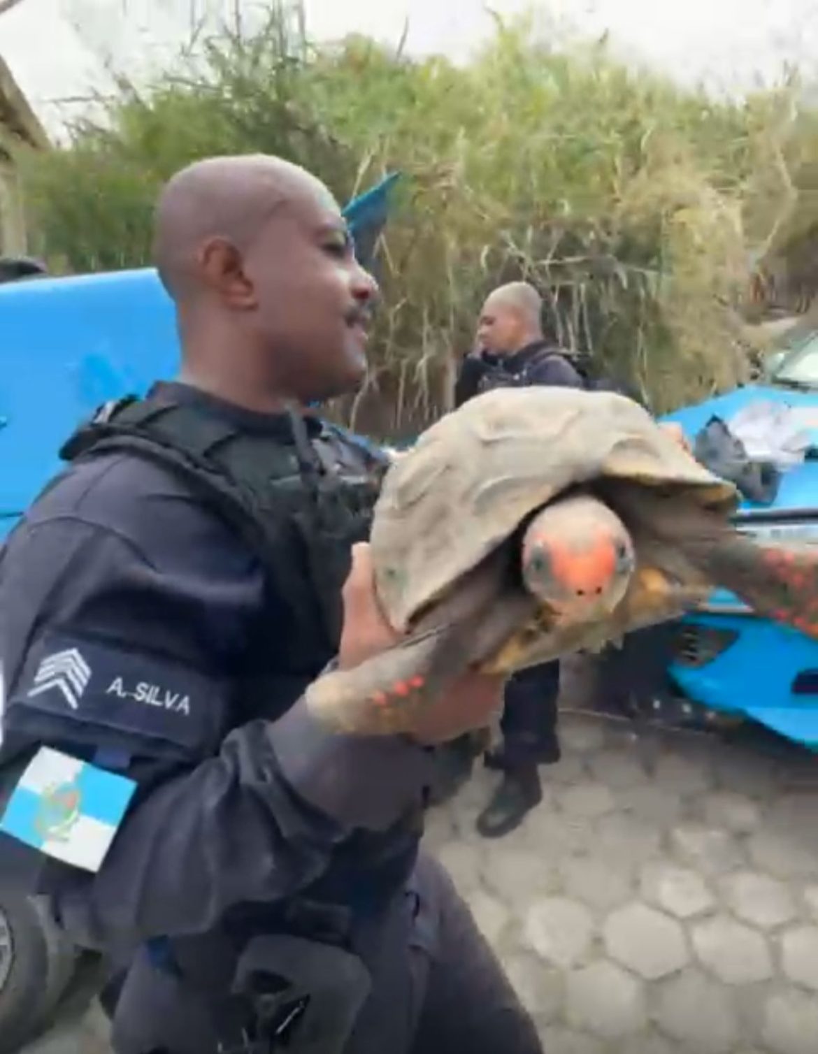 imagem do whatsapp de 2025 06 03 à(s) 18.29.40 da81017c