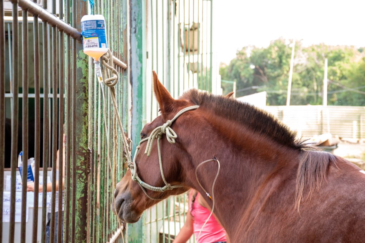 imagem do whatsapp de 2025 06 05 à(s) 16.26.04 9db4abad imagem do whatsapp de 2025 06 05 à(s) 16.26.04 9db4abad