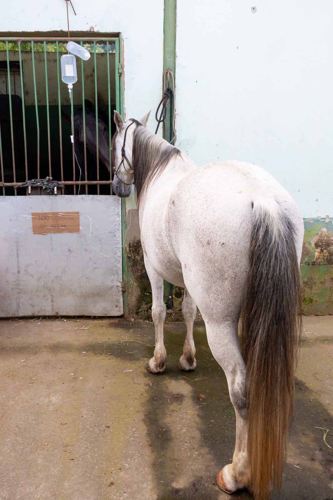 imagem do whatsapp de 2025 06 05 à(s) 16.26.04 edd8078b imagem do whatsapp de 2025 06 05 à(s) 16.26.04 edd8078b