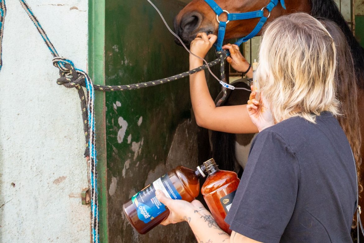 imagem do whatsapp de 2025 06 05 à(s) 16.26.05 01769660 imagem do whatsapp de 2025 06 05 à(s) 16.26.05 01769660