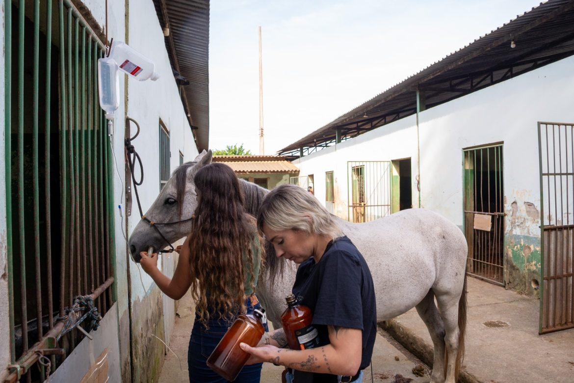 imagem do whatsapp de 2025 06 05 à(s) 16.26.05 266b46da