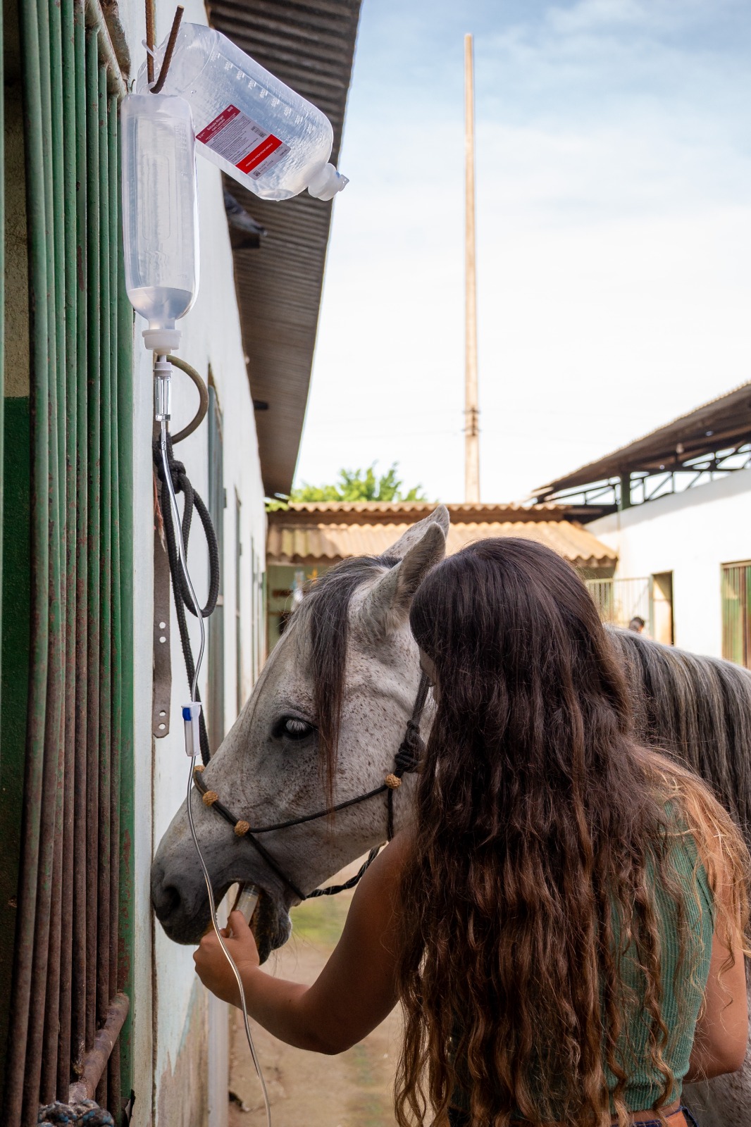 imagem do whatsapp de 2025 06 05 à(s) 16.26.05 9afe863d imagem do whatsapp de 2025 06 05 à(s) 16.26.05 9afe863d