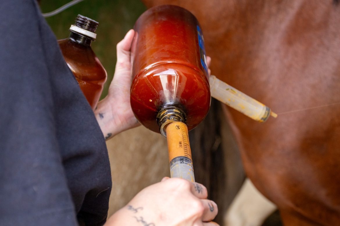 imagem do whatsapp de 2025 06 05 à(s) 16.26.05 a83db844 imagem do whatsapp de 2025 06 05 à(s) 16.26.05 a83db844