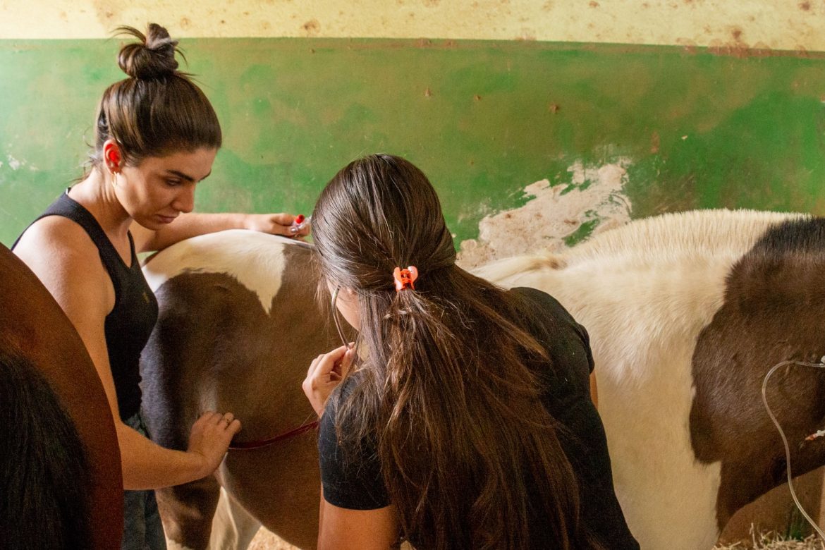 imagem do whatsapp de 2025 06 05 à(s) 16.26.06 8db316a3 imagem do whatsapp de 2025 06 05 à(s) 16.26.06 8db316a3