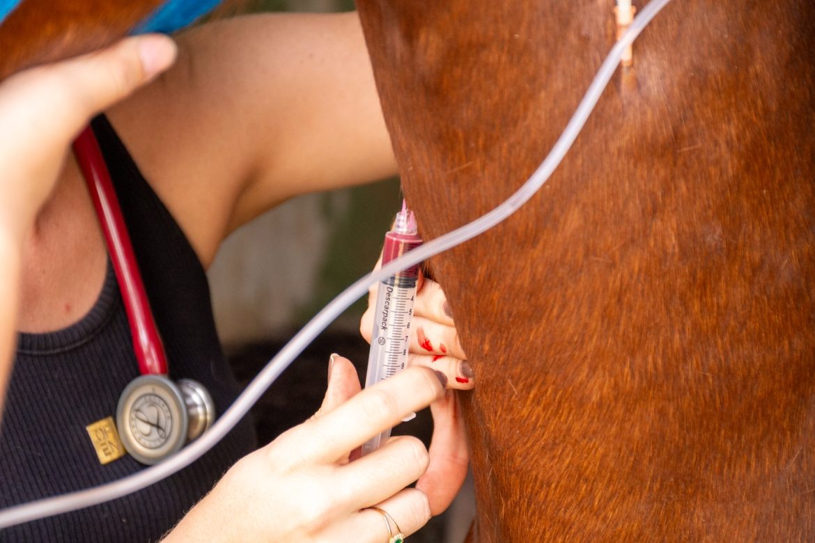 imagem do whatsapp de 2025 06 05 à(s) 16.26.06 d04966c9 imagem do whatsapp de 2025 06 05 à(s) 16.26.06 d04966c9