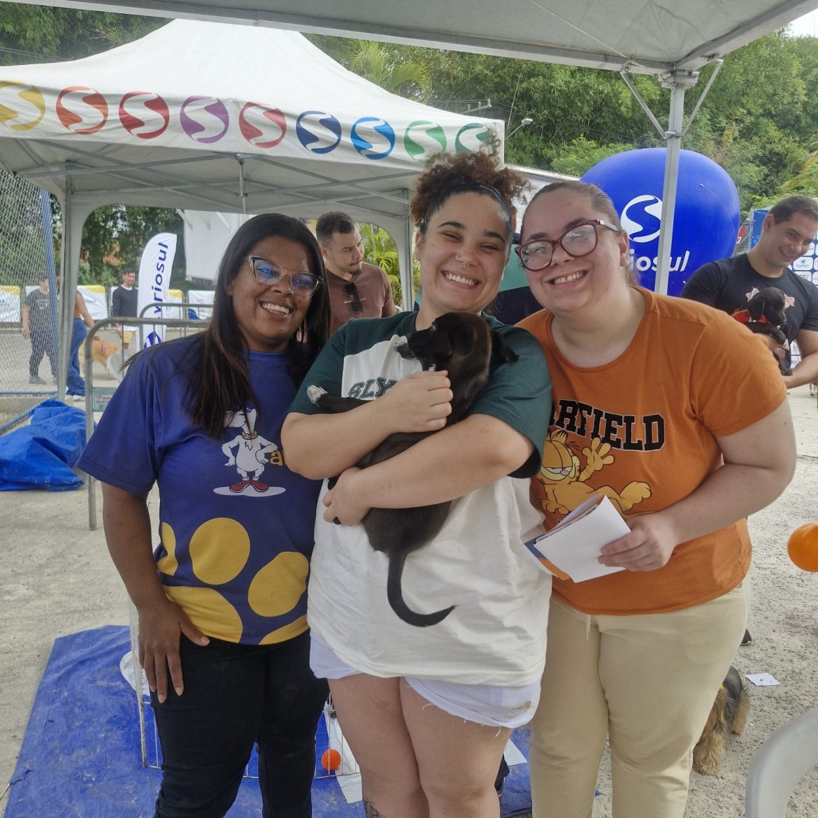 notasvr novo lar para mais de nove cÃes divulgação pmvr