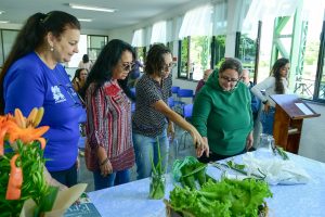 projeto ‘plantas que cuidam e alimentam’ divulgaÇÃo