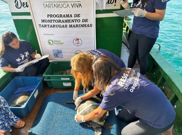 semana do meio ambiente da eletronuclear será celebrada com atividades externas divulgação