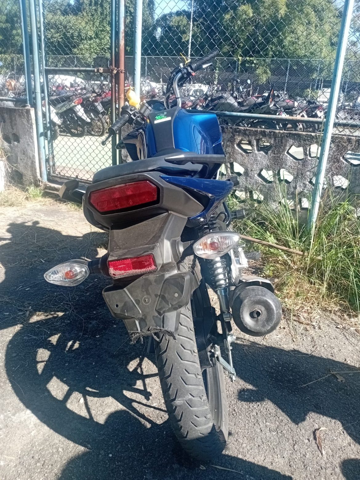 whatsapp image 2025 06 05 at 09.18.10