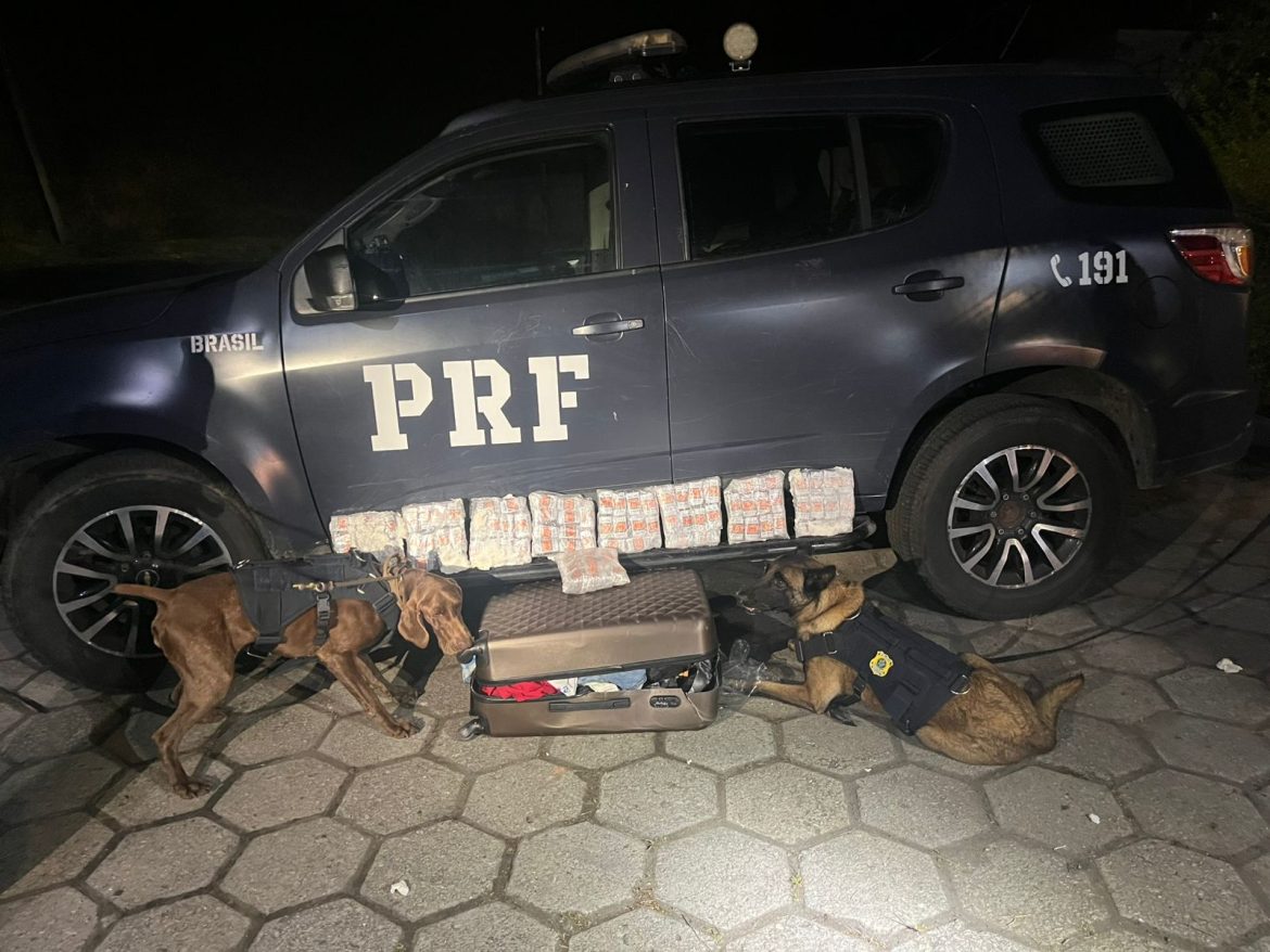 whatsapp image 2025 06 06 at 10.42.30