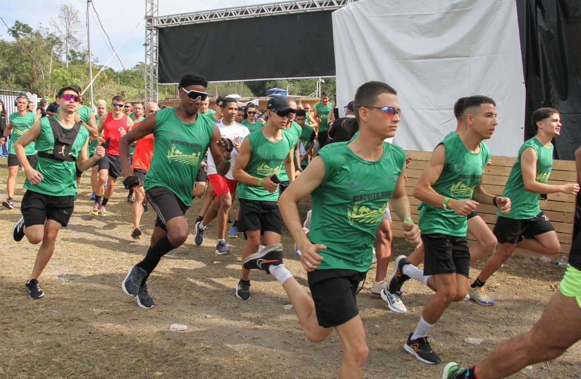 whatsapp image 2025 06 08 at 17.23.18