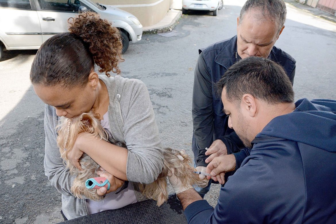 whatsapp image 2025 06 10 at 16.24.54