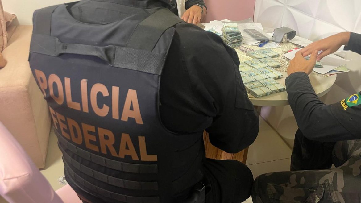 whatsapp image 2025 06 11 at 08.22.54