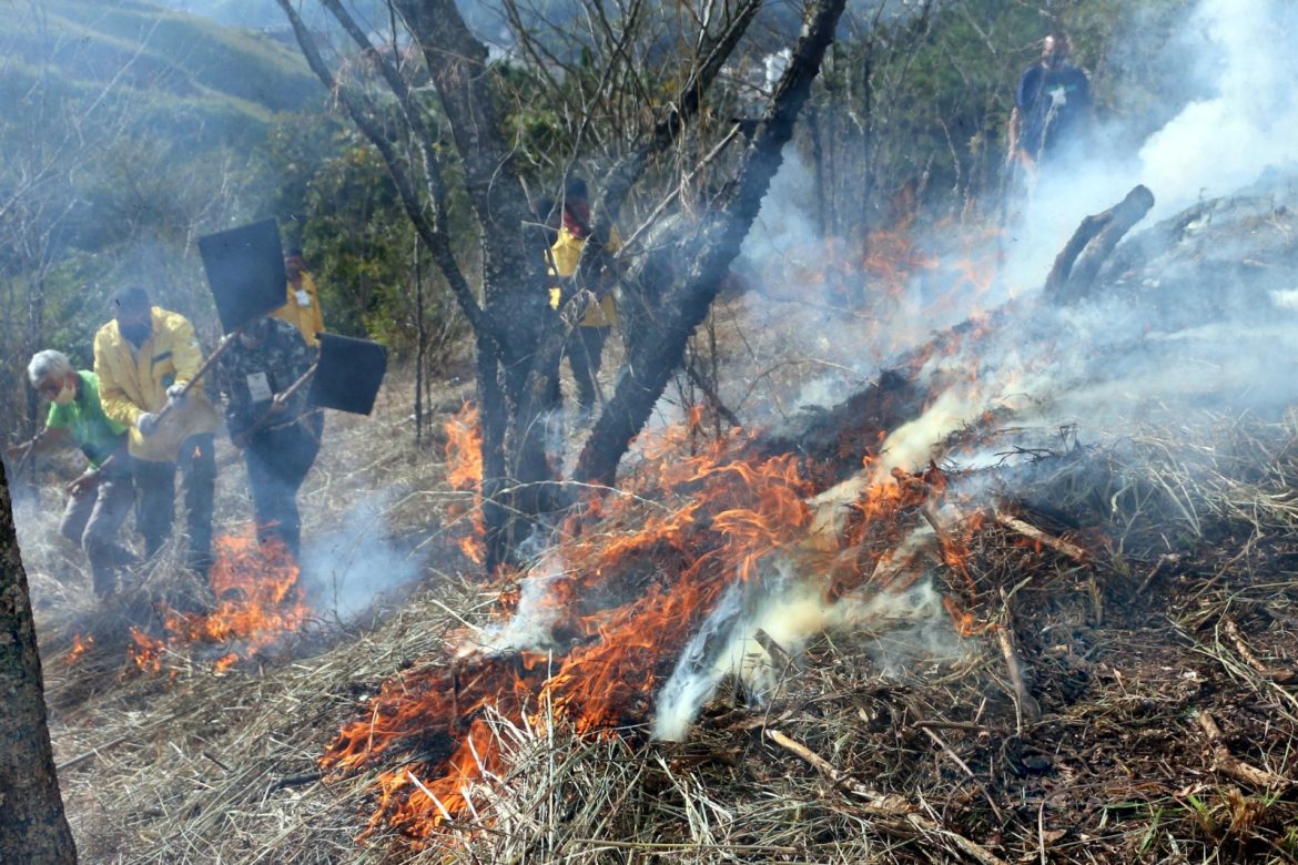 whatsapp image 2025 06 16 at 15.03.25