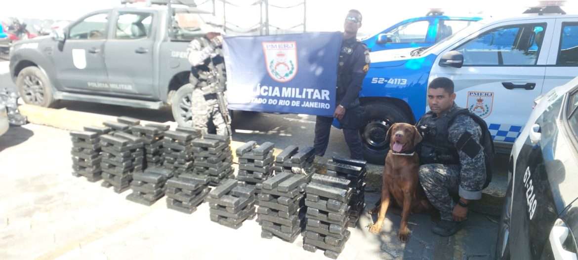 whatsapp image 2025 06 30 at 15.36.26