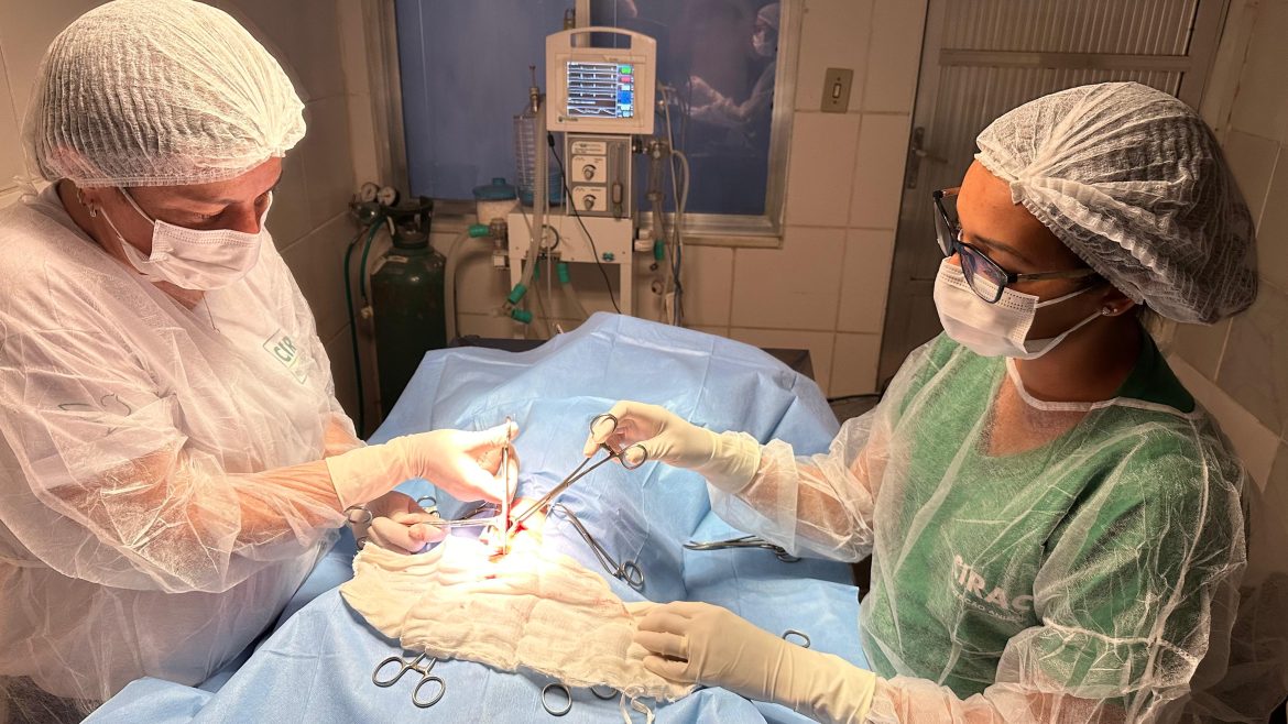 39.cf.res.cidades.prefeitura de porto real.1.prefeitura.divulgaÇÃopmpr