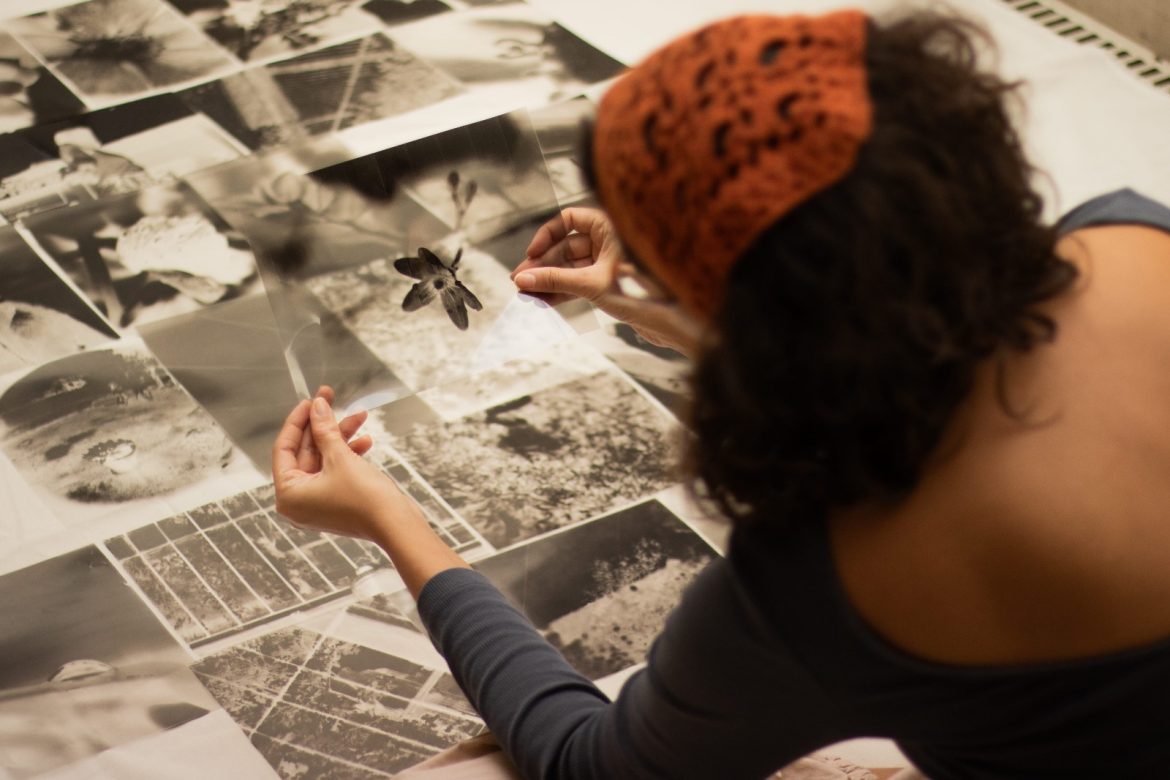 abertura da exposição ‘azular’ no espaço das artes zélia arbex, em volta redonda, será nesta sexta feira divulgação secom