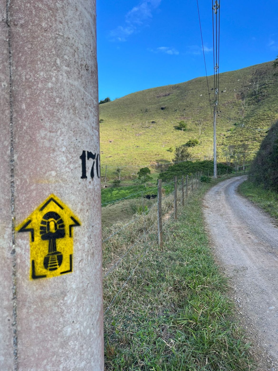 imagem do whatsapp de 2025 07 11 à(s) 16.50.11 d20311ea