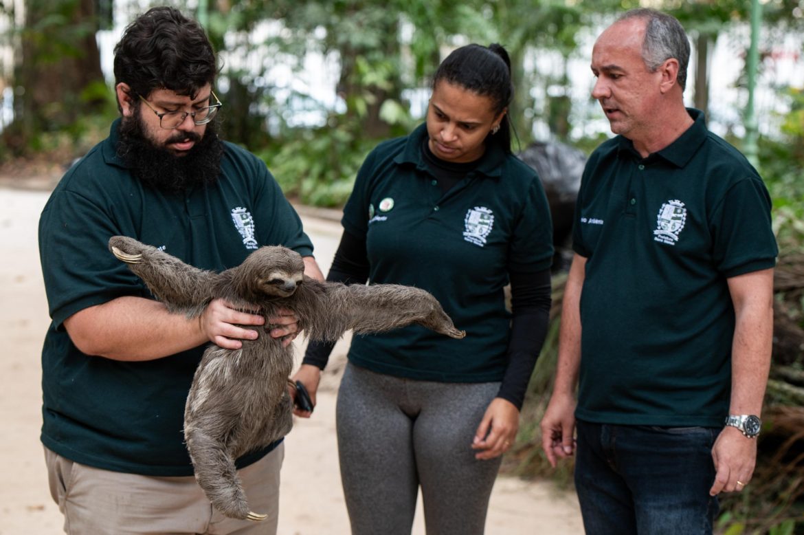 mutirão de limpeza é realizado no parque centenário em barra mansa felipe vieira111