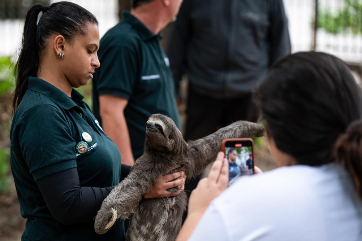 mutirão de limpeza é realizado no parque centenário em barra mansa felipe vieira12