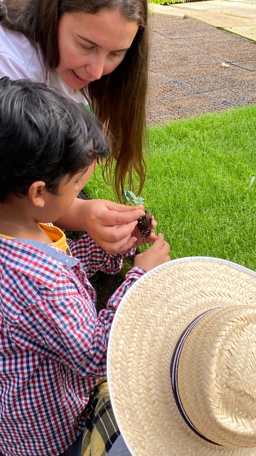 notasvr vivÊncia terapÊutica na zona rural divulgaÇÃo pmvr notasvr vivÊncia terapÊutica na zona rural divulgaÇÃo pmvr