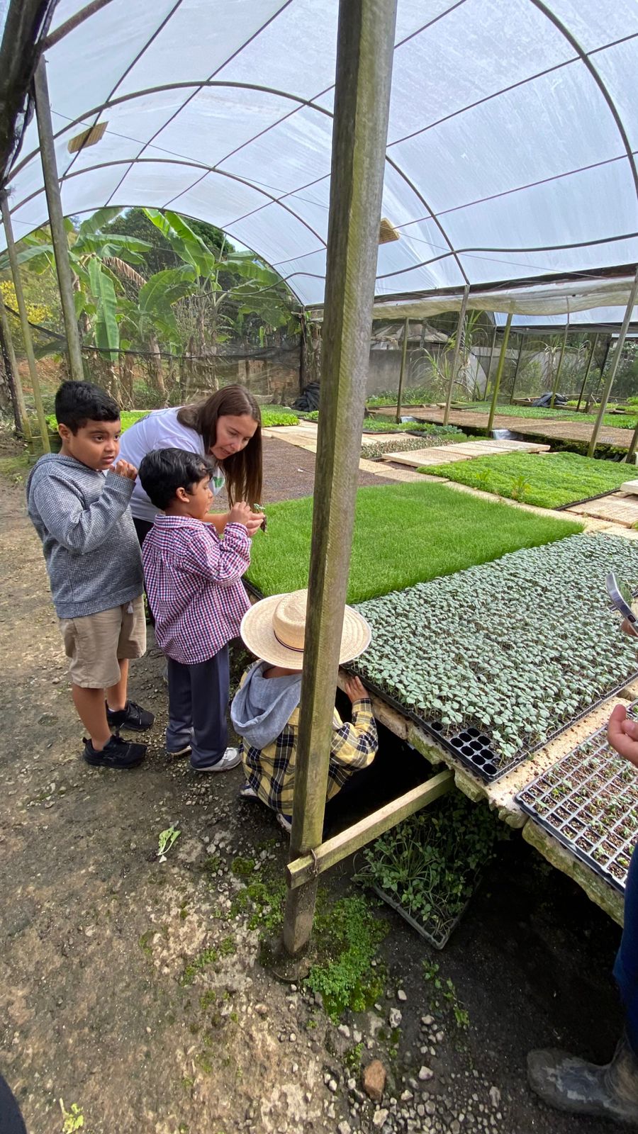 notasvr vivÊncia terapÊutica na zona rural divulgaÇÃo pmvr11 notasvr vivÊncia terapÊutica na zona rural divulgaÇÃo pmvr11