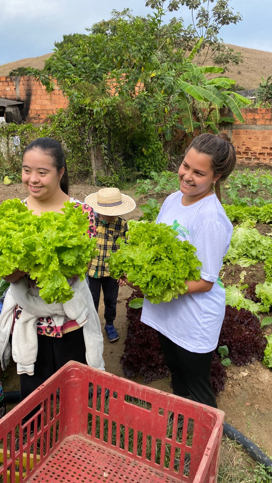 notasvr vivÊncia terapÊutica na zona rural divulgaÇÃo pmvr12 notasvr vivÊncia terapÊutica na zona rural divulgaÇÃo pmvr12