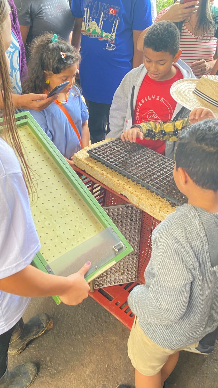 notasvr vivÊncia terapÊutica na zona rural divulgaÇÃo pmvr13 notasvr vivÊncia terapÊutica na zona rural divulgaÇÃo pmvr13