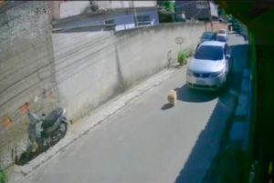 whatsapp image 2025 07 07 at 16.56.22