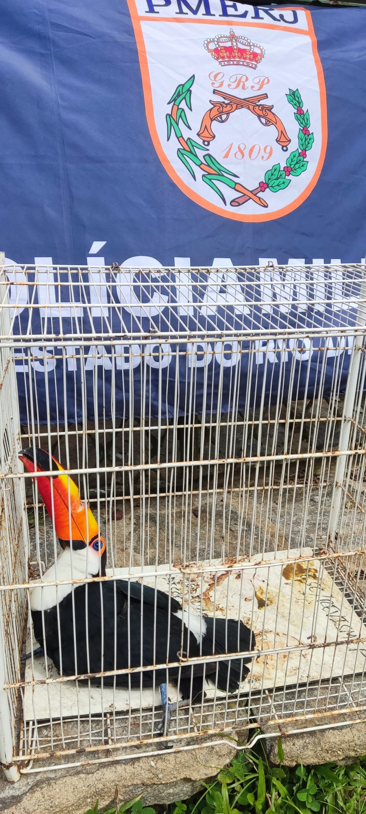 whatsapp image 2025 07 14 at 09.33.57