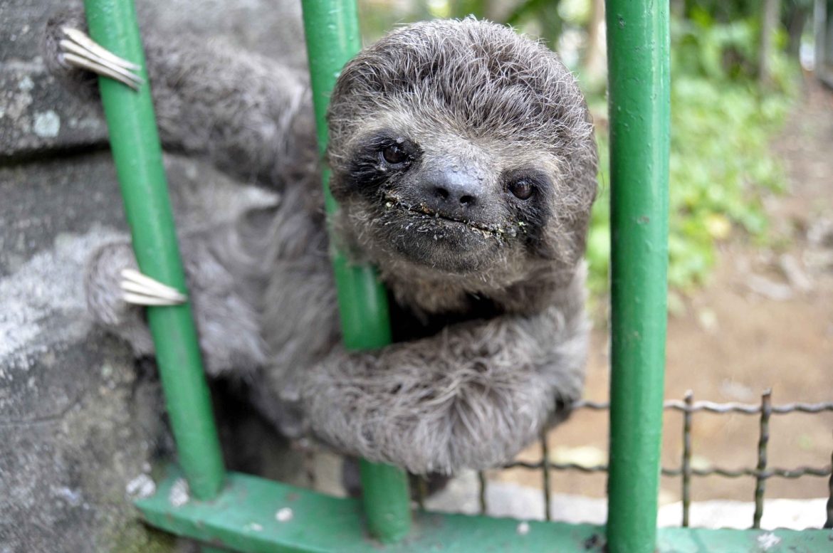 whatsapp image 2025 07 14 at 11.01.20