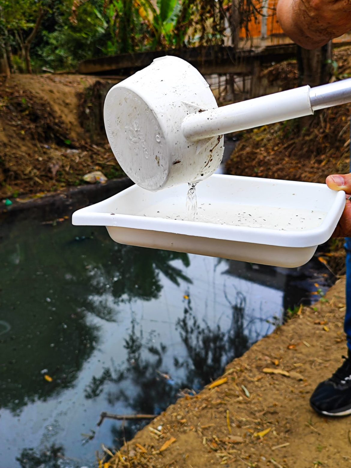 whatsapp image 2025 07 28 at 16.03.30