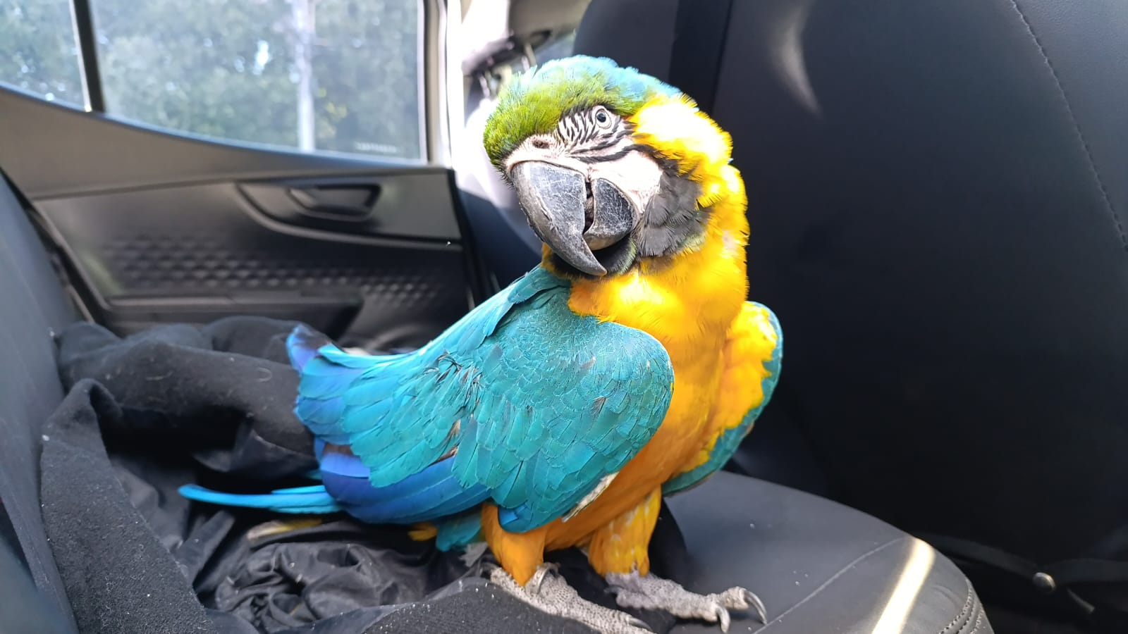 whatsapp image 2025 07 29 at 09.06.37