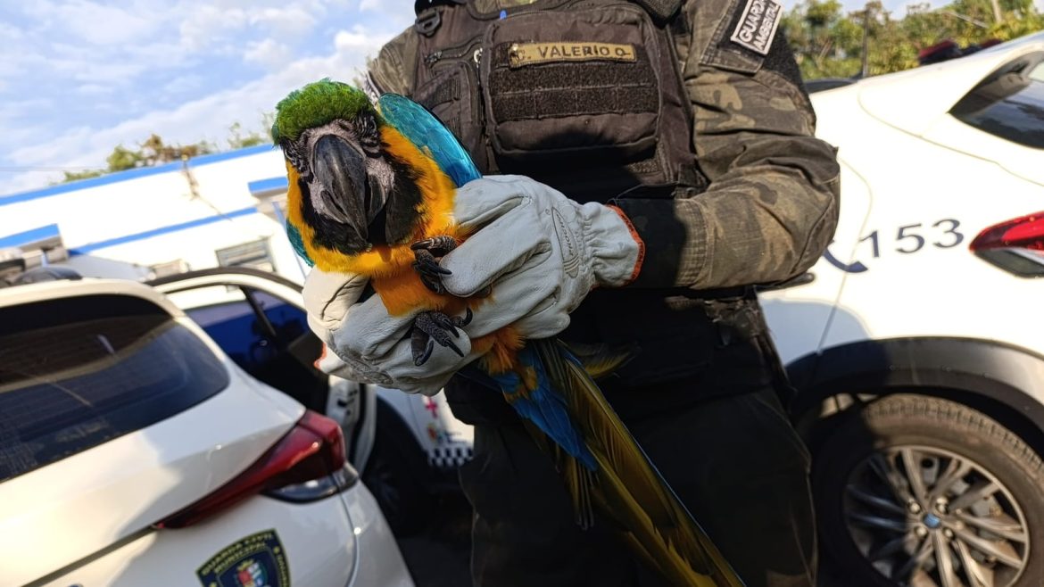 whatsapp image 2025 07 29 at 09.06.38