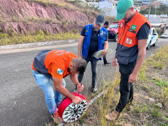 whatsapp image 2025 07 30 at 16.14.55