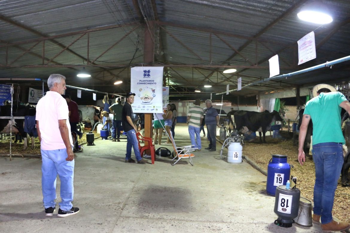 whatsapp image 2025 07 31 at 09.03.20