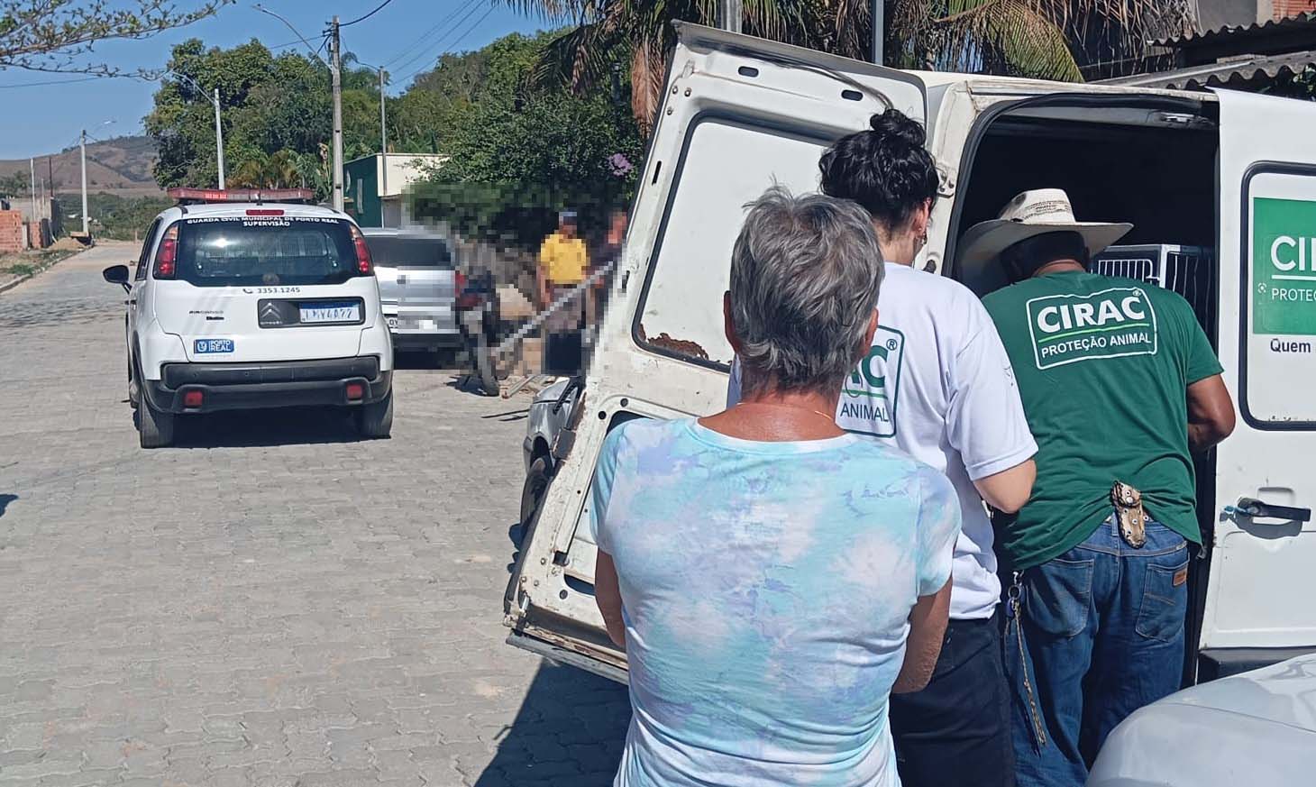 20.cf.res.polÍcia.cão é resgatado em porto real.1.cachorro.divulgaÇÃopmpr